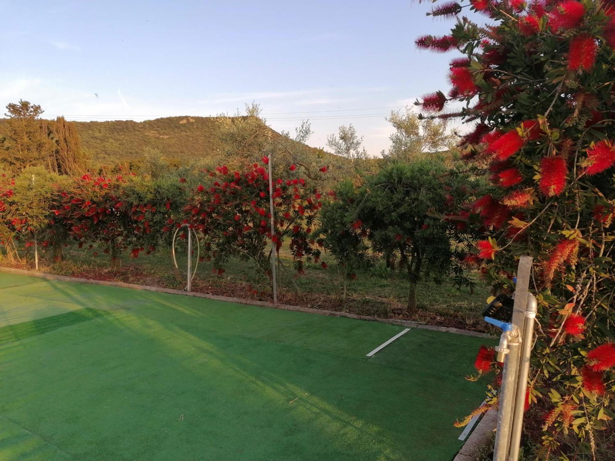Holiday home Con Piscina 